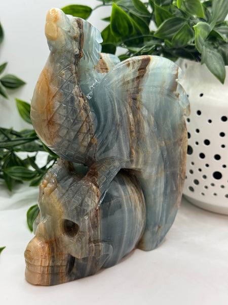 Blue onyx dragon in skull - Crystal Carvings