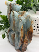 Blue onyx dragon in skull - Crystal Carvings
