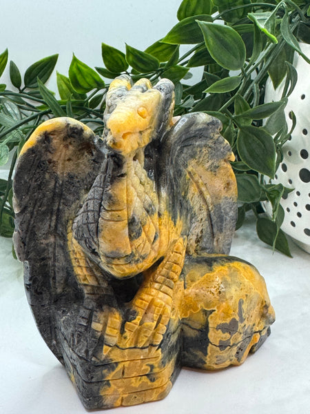 Bumblebee jasper dragon on skull - Crystal Carvings
