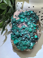 Dioptase - Crystal Specimens