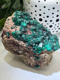 Dioptase - Crystal Specimens