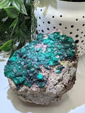 Dioptase - Crystal Specimens