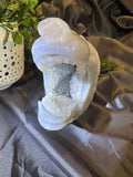 Druzy agate wolf